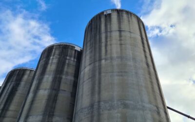 Organizational Silos